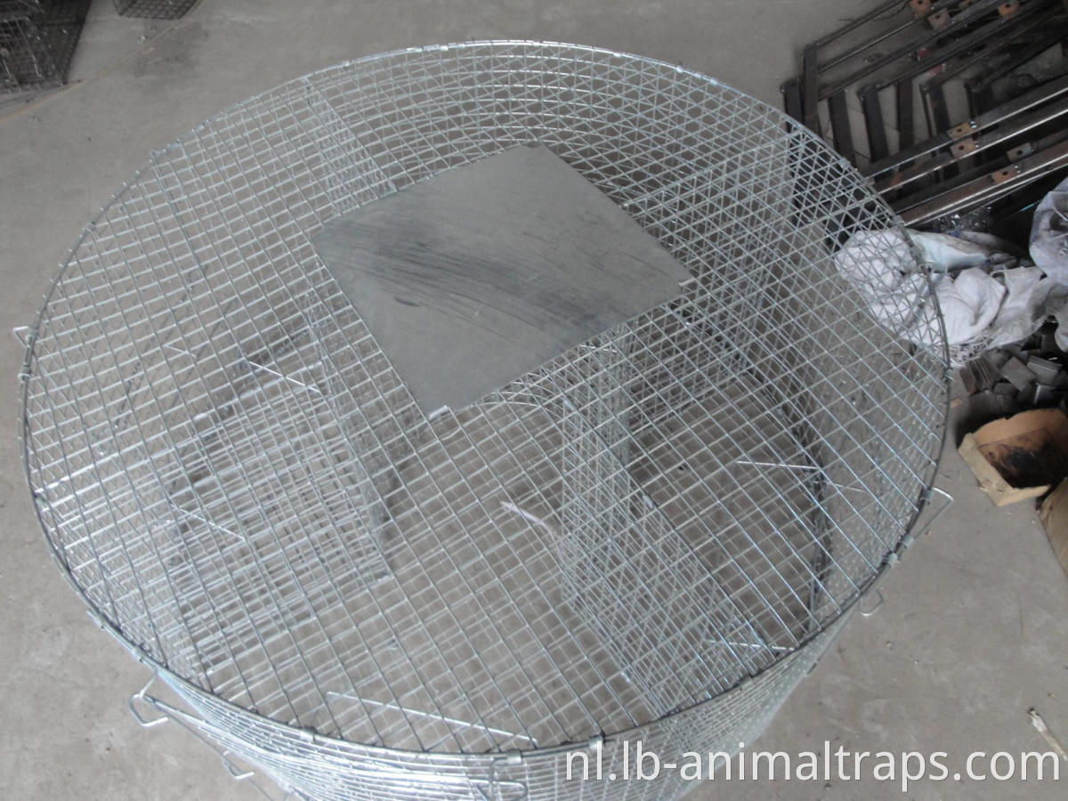 Grote opvouwbare humane levend dierenval perfect voor wasberen, zwerfkatten, gopher, opossum, konijnen